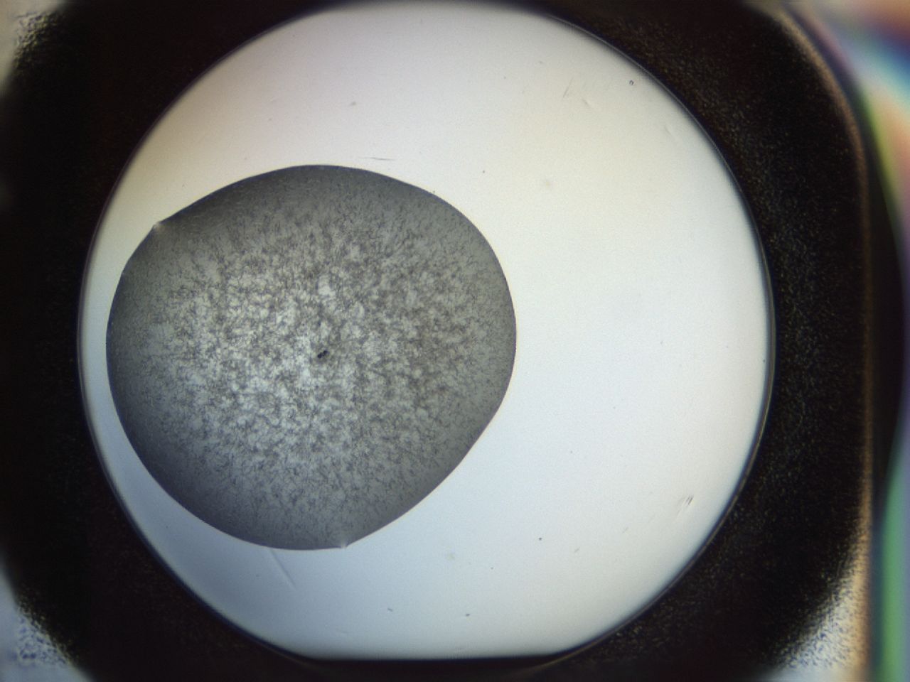 02or_E4_ImagerDefaults_6.jpg