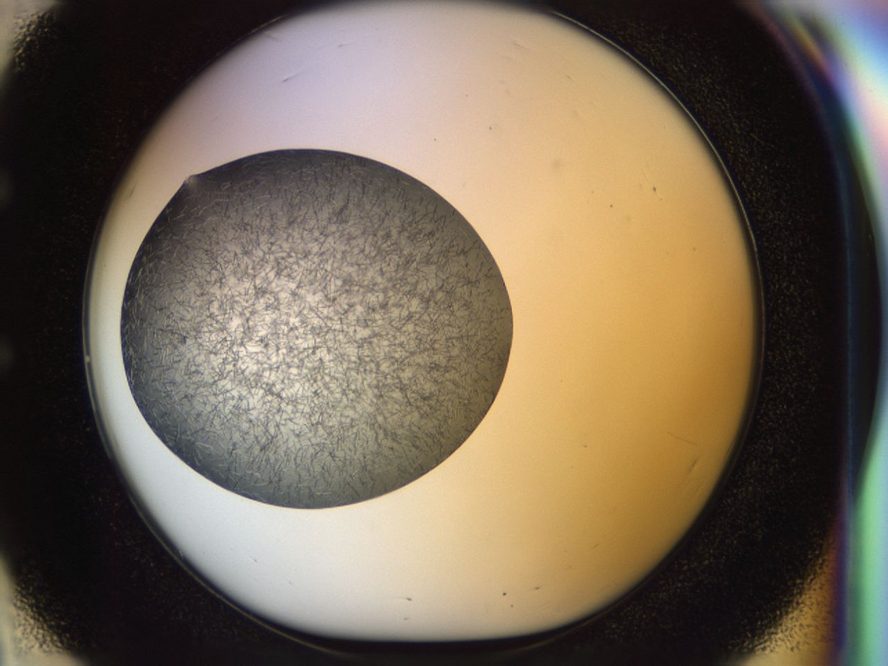 02or_E3_ImagerDefaults_6.jpg