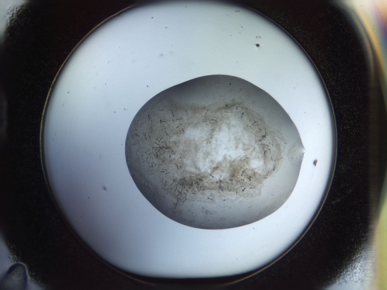 02or_D11_ImagerDefaults_6.jpg