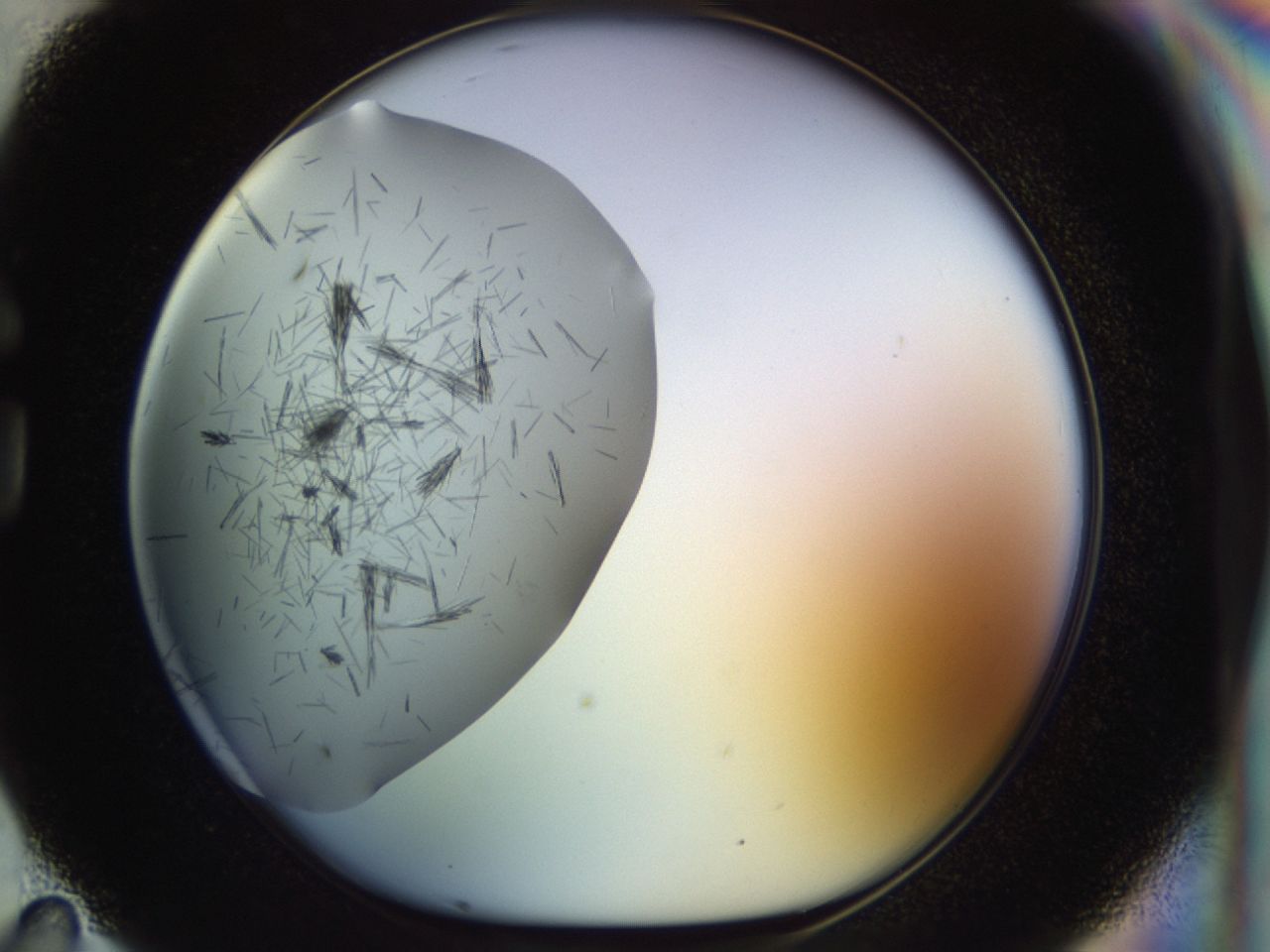 02ow_G11_ImagerDefaults_7.jpg