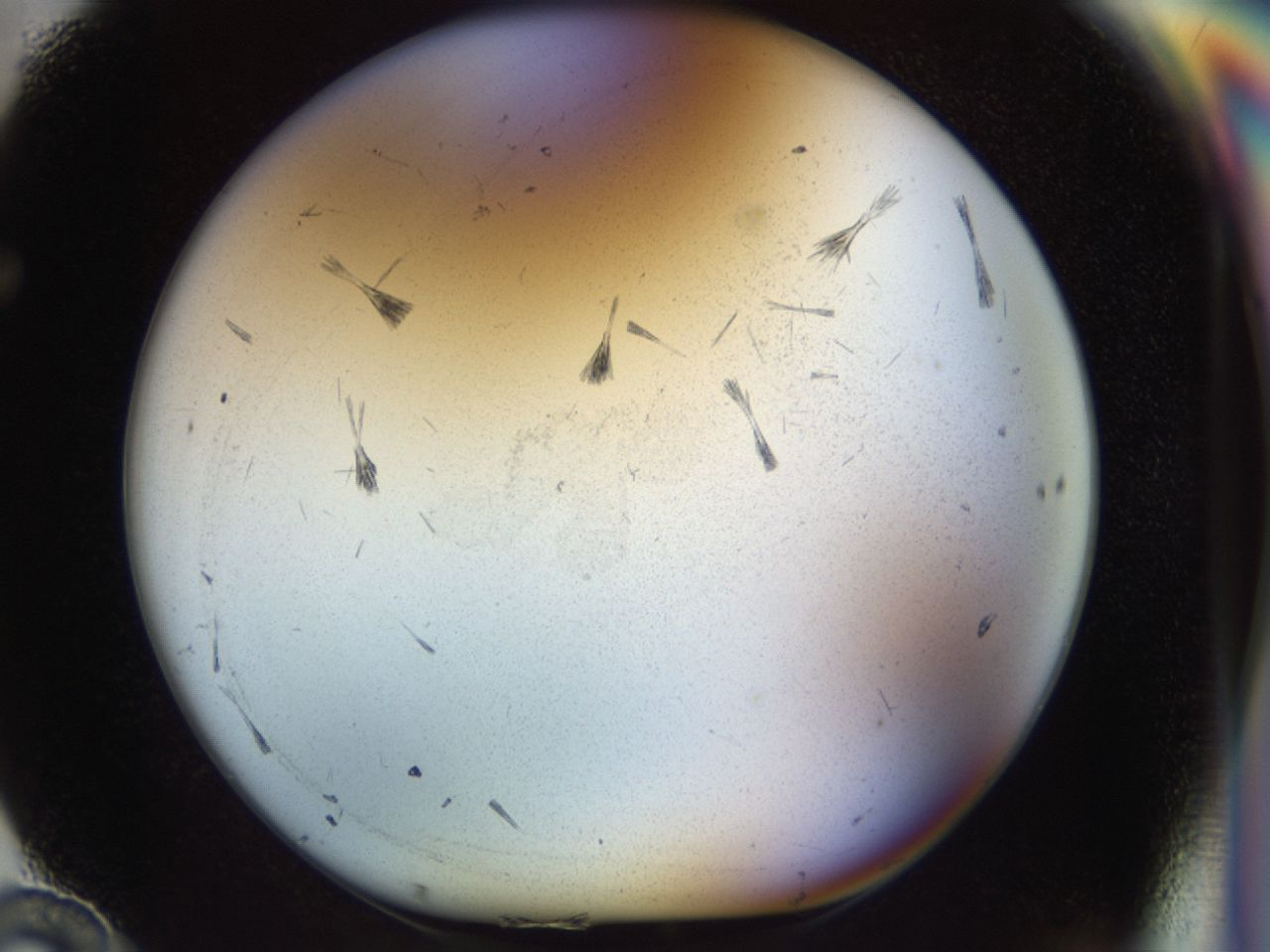 02ow_F10_ImagerDefaults_6.jpg