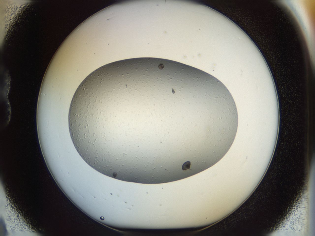 02ox_B8_ImagerDefaults_6.jpg