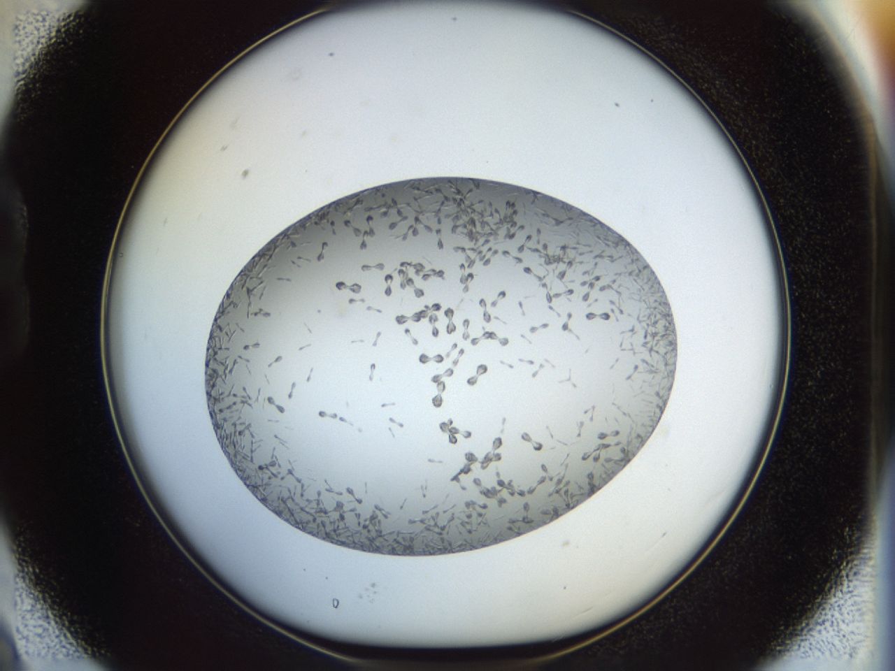 02ox_B9_ImagerDefaults_6.jpg