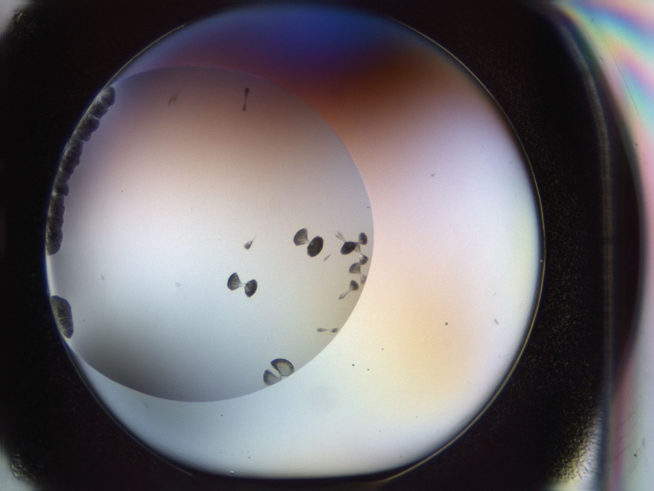 02ox_G2_ImagerDefaults_6.jpg