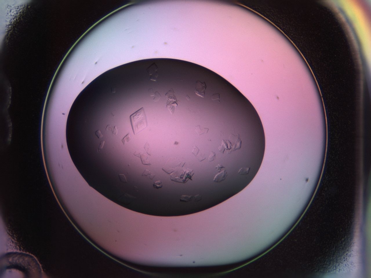 02pd_B12_ImagerDefaults_9.jpg