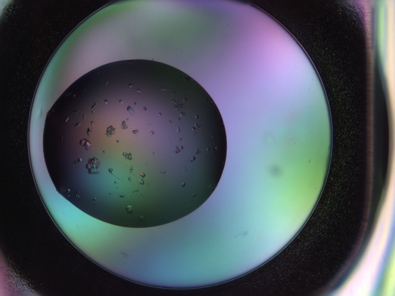 02pe_F3_ImagerDefaults_9.jpg