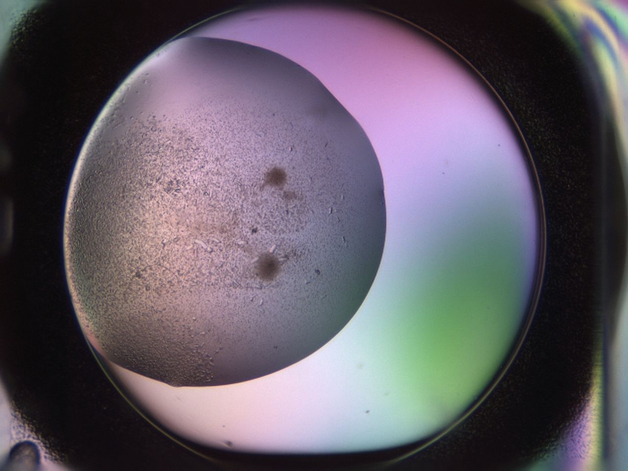 02pf_G11_ImagerDefaults_9.jpg