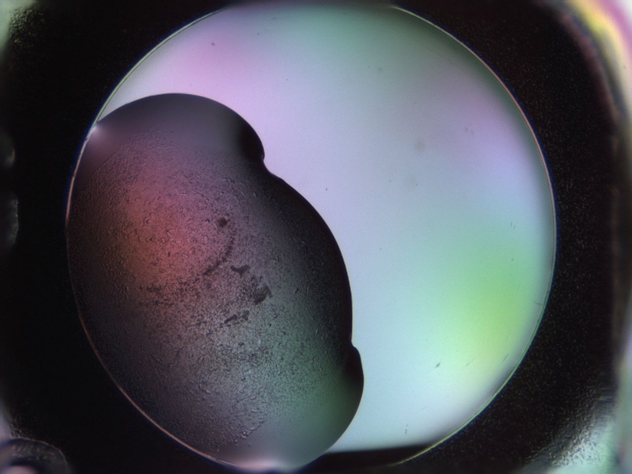 02pf_G12_ImagerDefaults_9.jpg