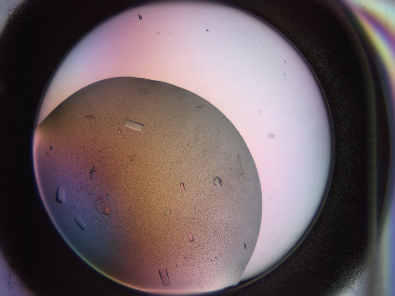 02pf_F5_ImagerDefaults_9.jpg