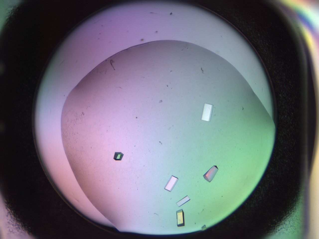 02pf_E8_ImagerDefaults_9.jpg