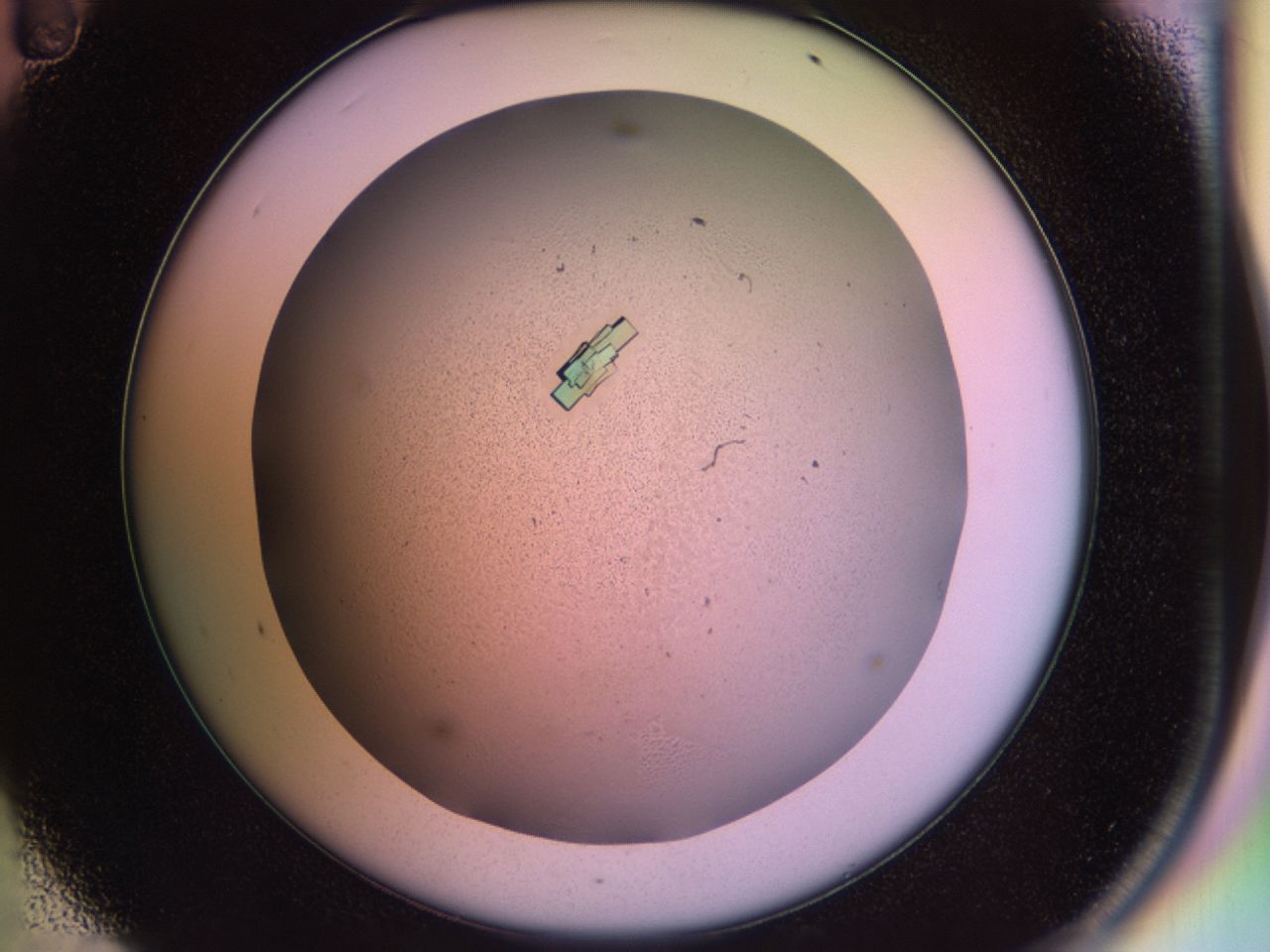 02pf_D11_ImagerDefaults_9.jpg