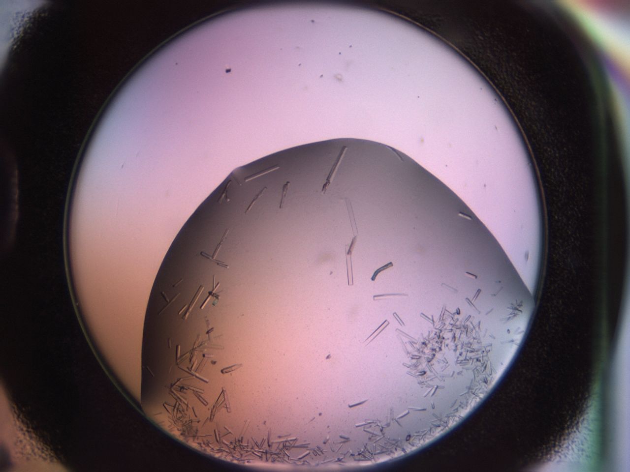 02pf_D6_ImagerDefaults_9.jpg