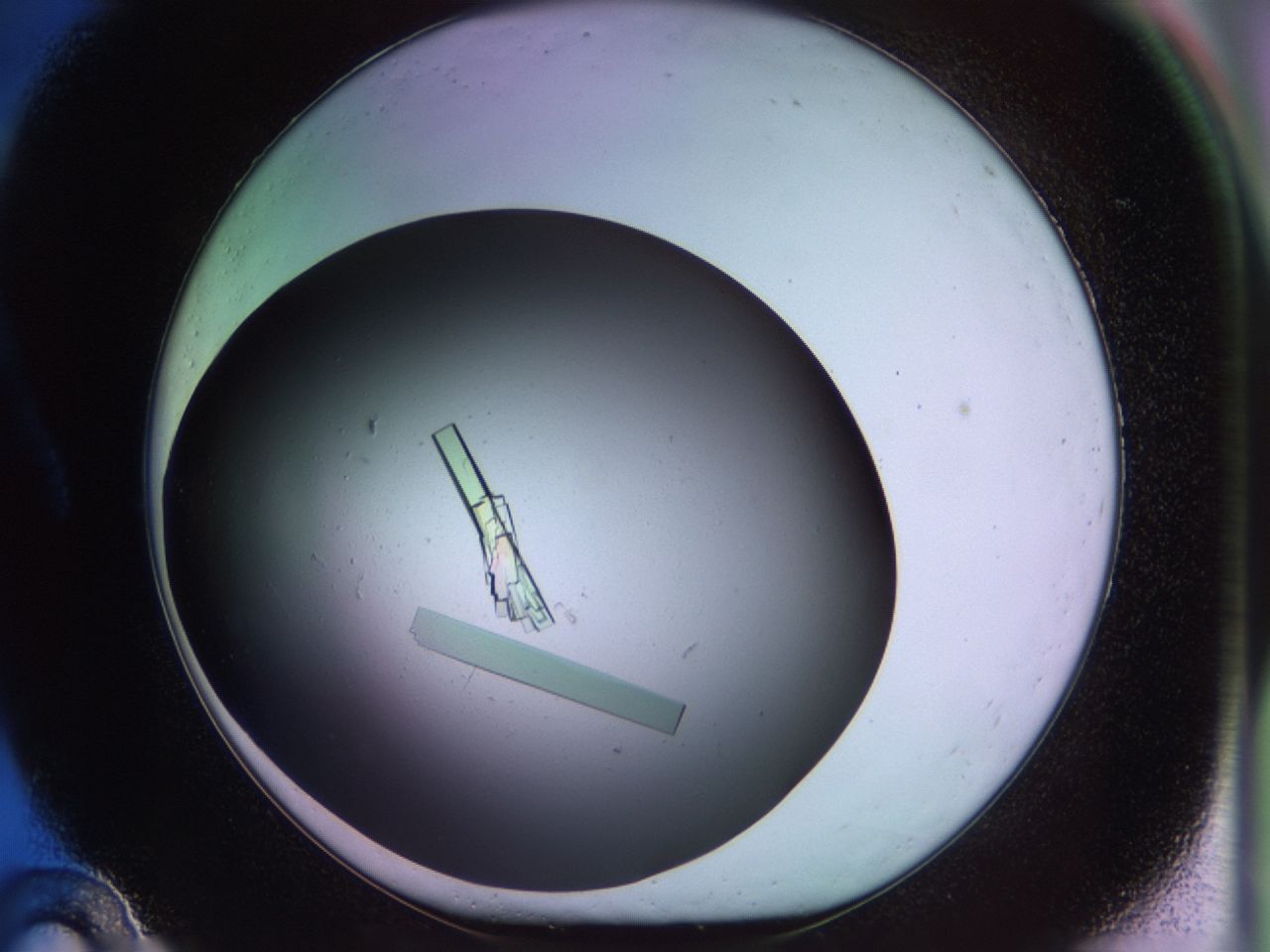 02pf_A10_ImagerDefaults_9.jpg