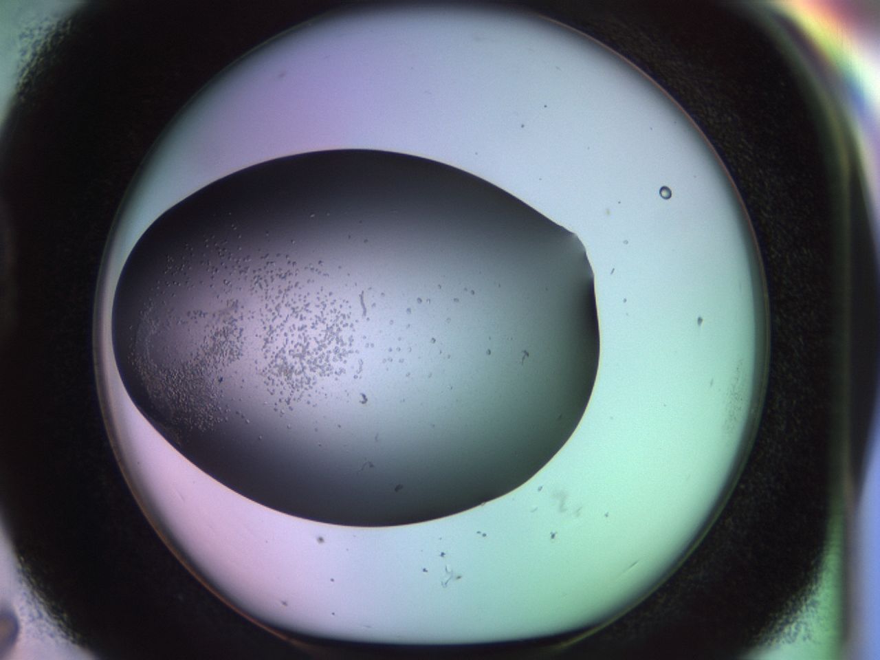 02pg_D7_ImagerDefaults_9.jpg