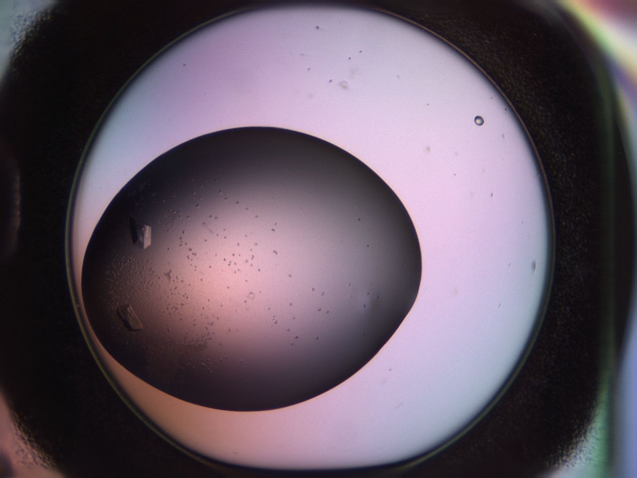 02pg_D6_ImagerDefaults_9.jpg