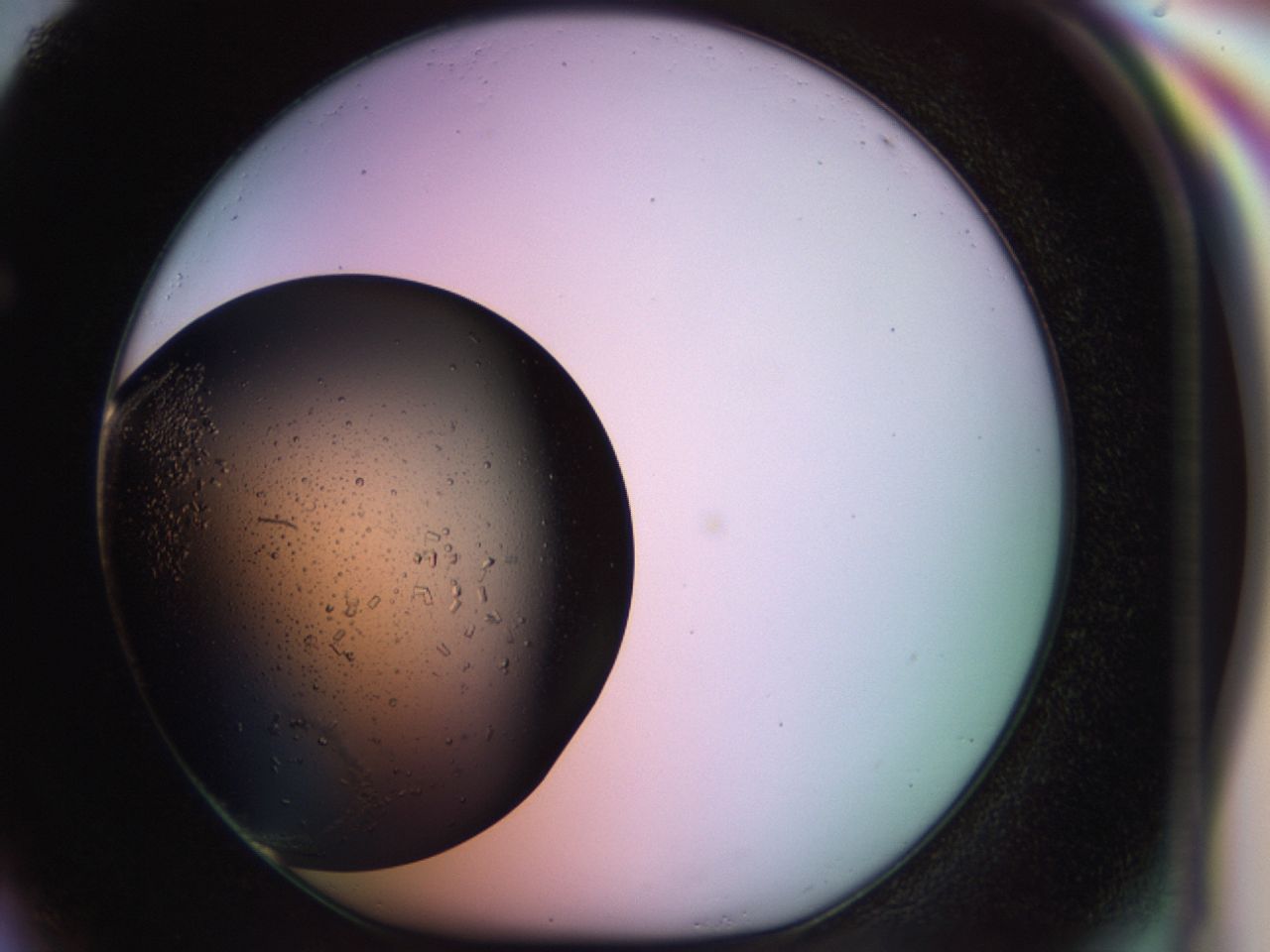 02pg_F4_ImagerDefaults_9.jpg