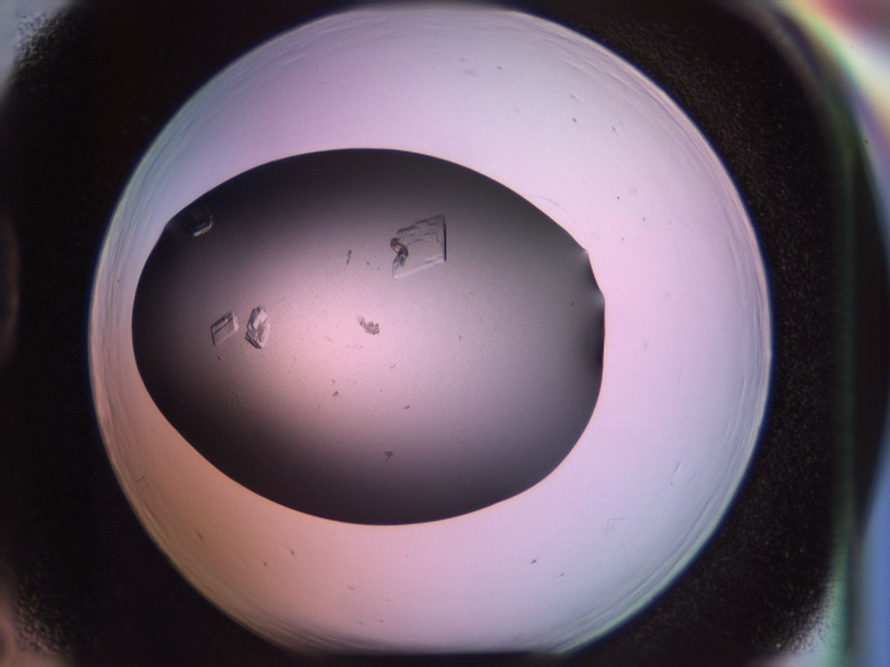 02pg_D5_ImagerDefaults_9.jpg