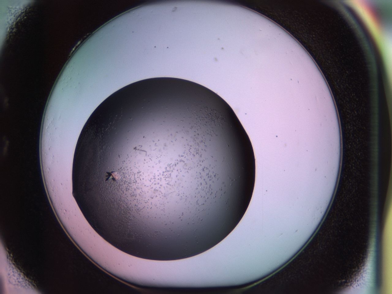 02pg_C4_ImagerDefaults_9.jpg