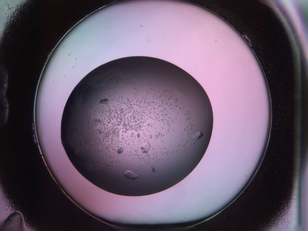 02pg_B11_ImagerDefaults_9.jpg