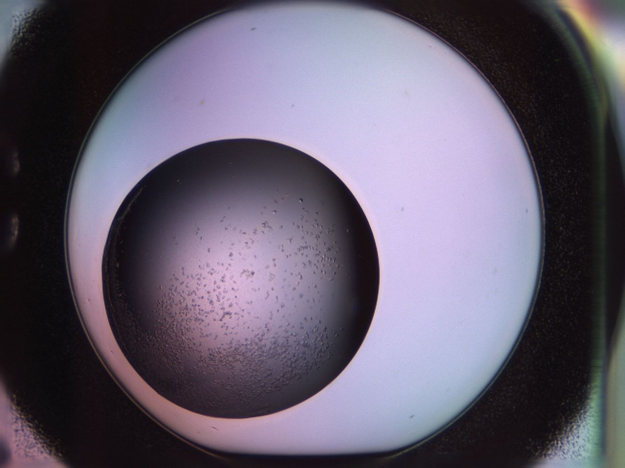 02ph_C6_ImagerDefaults_9.jpg