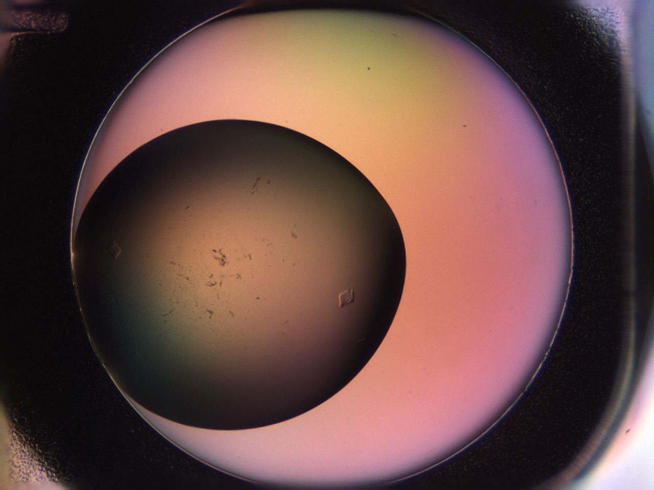 02ph_D12_ImagerDefaults_9.jpg
