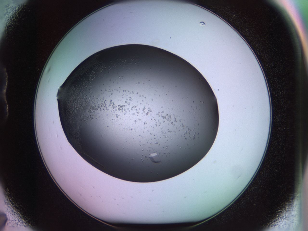 02ph_B7_ImagerDefaults_9.jpg