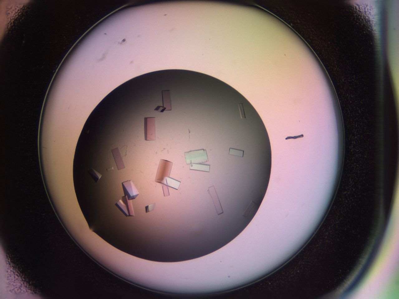 02pj_D4_ImagerDefaults_9.jpg