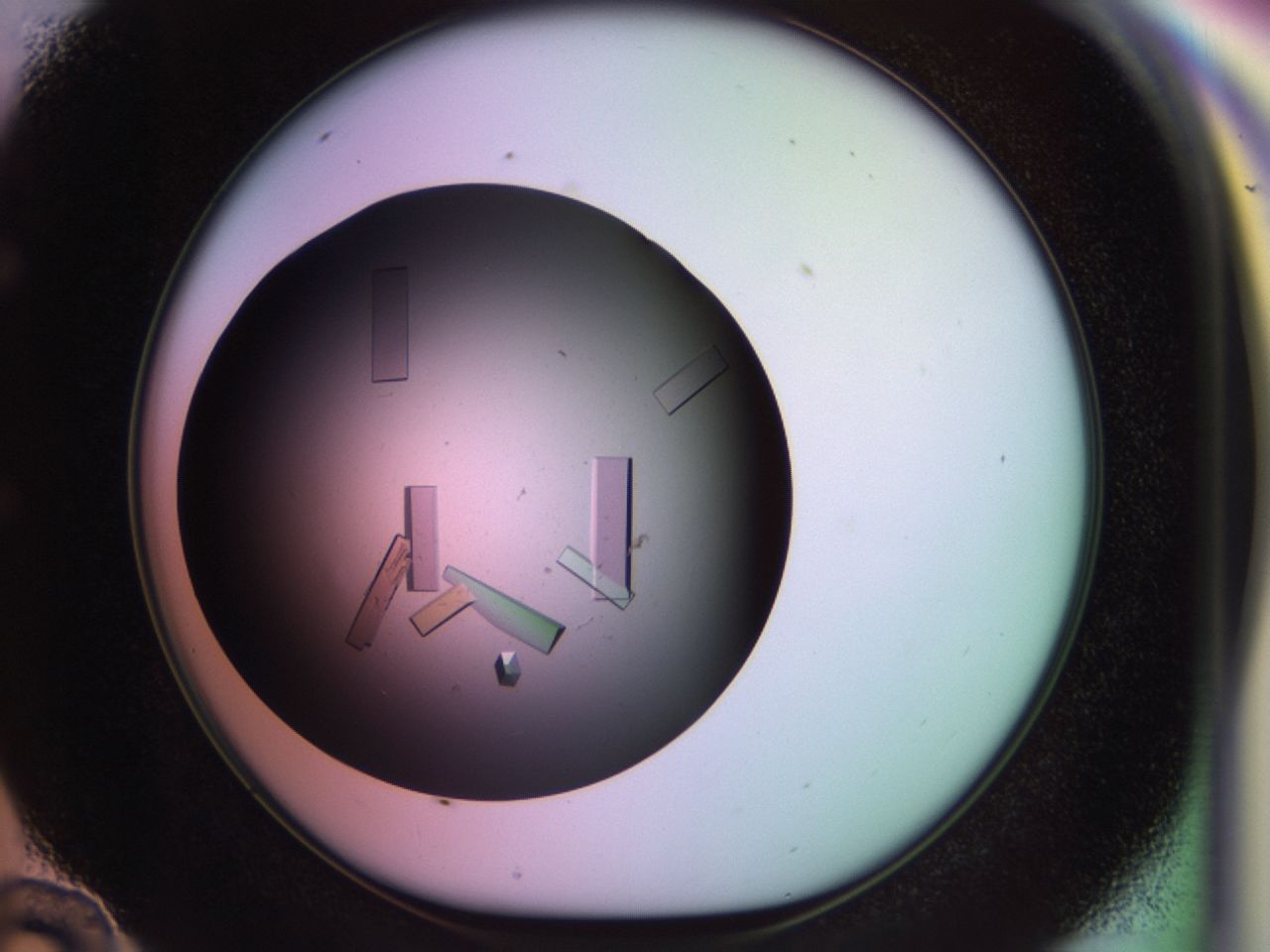 02pj_E10_ImagerDefaults_9.jpg