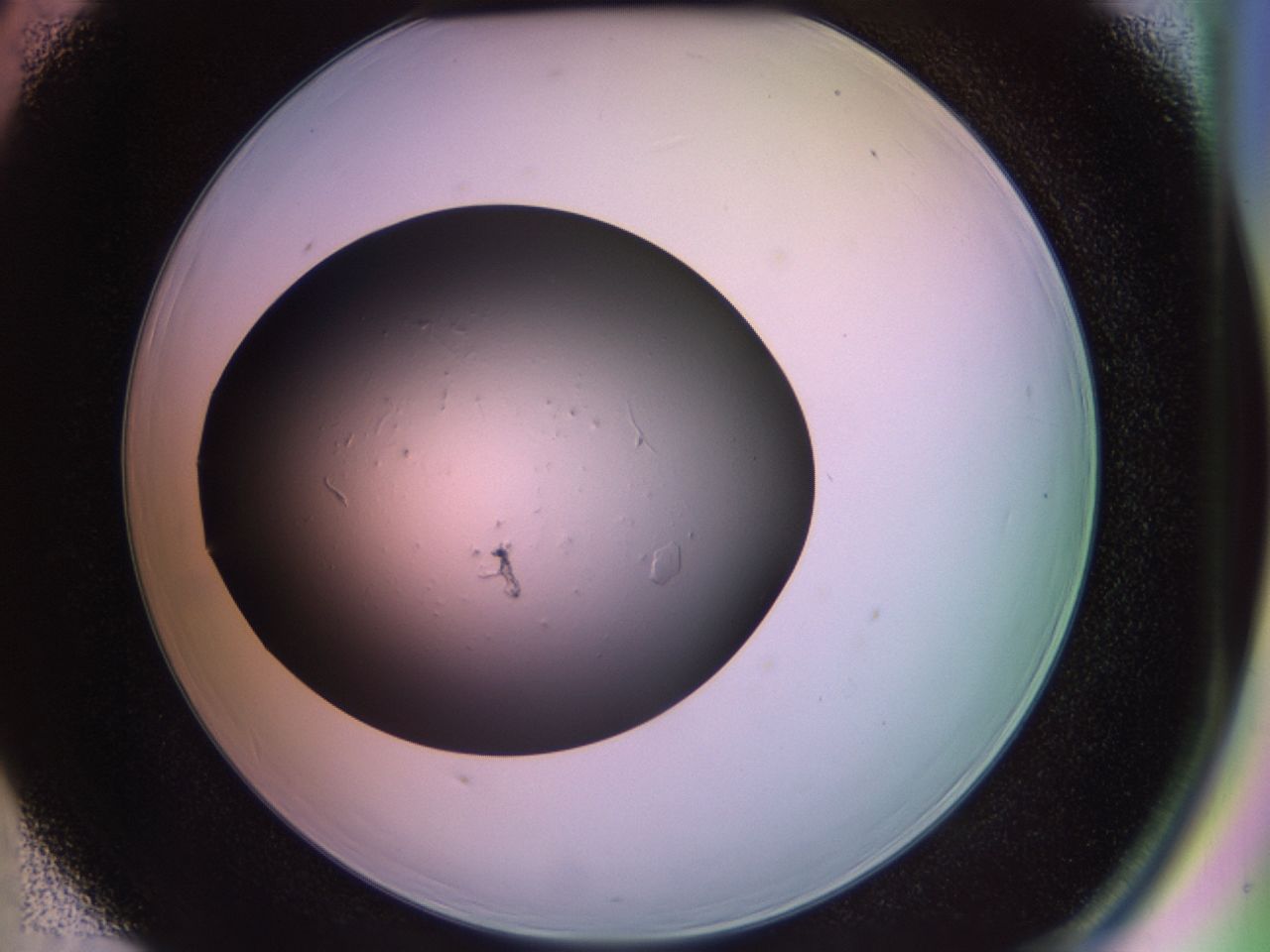 02pj_D5_ImagerDefaults_8.jpg