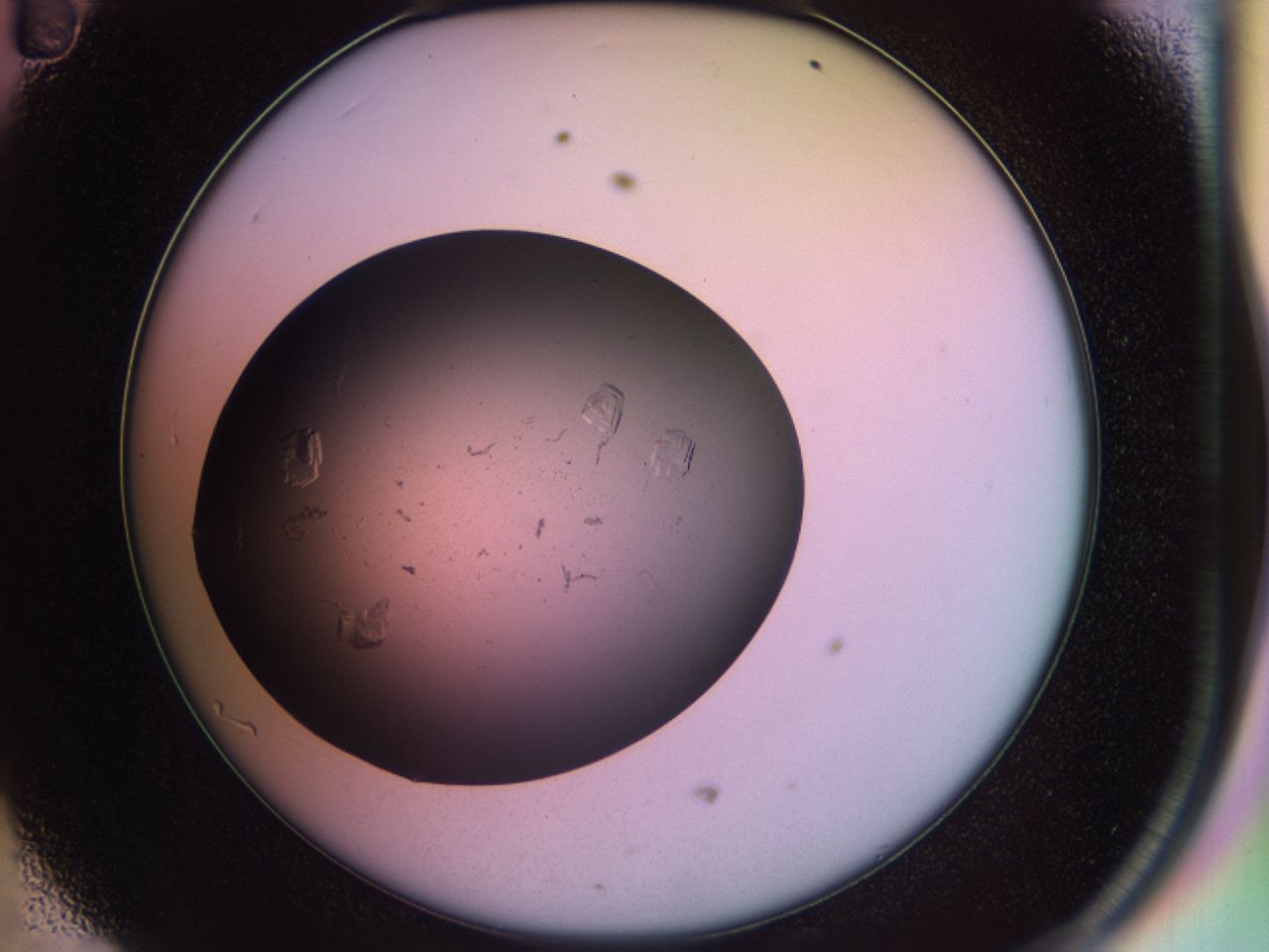 02pj_D11_ImagerDefaults_8.jpg