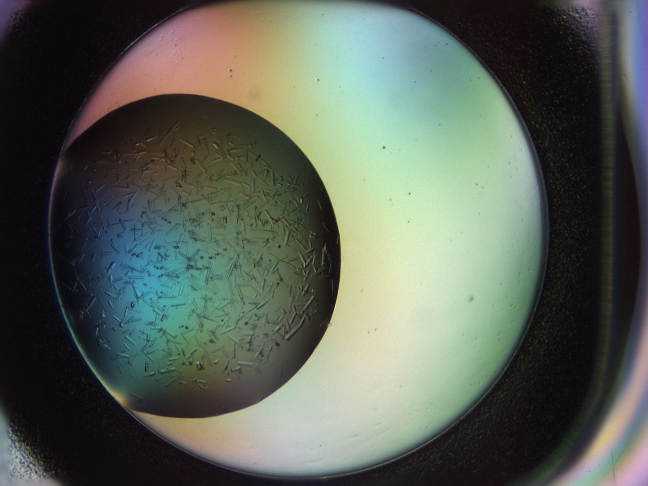 02pj_F5_ImagerDefaults_9.jpg