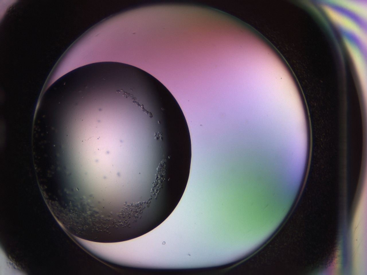 02pj_G6_ImagerDefaults_9.jpg