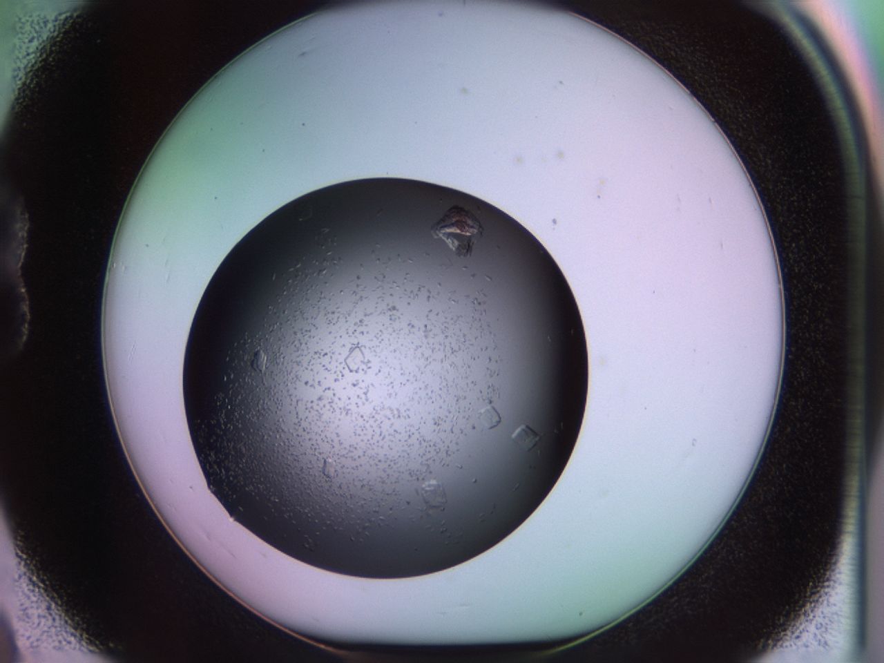 02pj_B8_ImagerDefaults_8.jpg