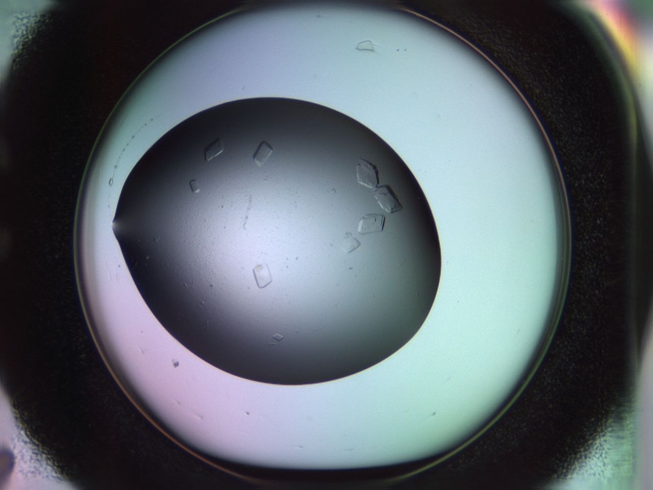 02pj_C7_ImagerDefaults_8.jpg