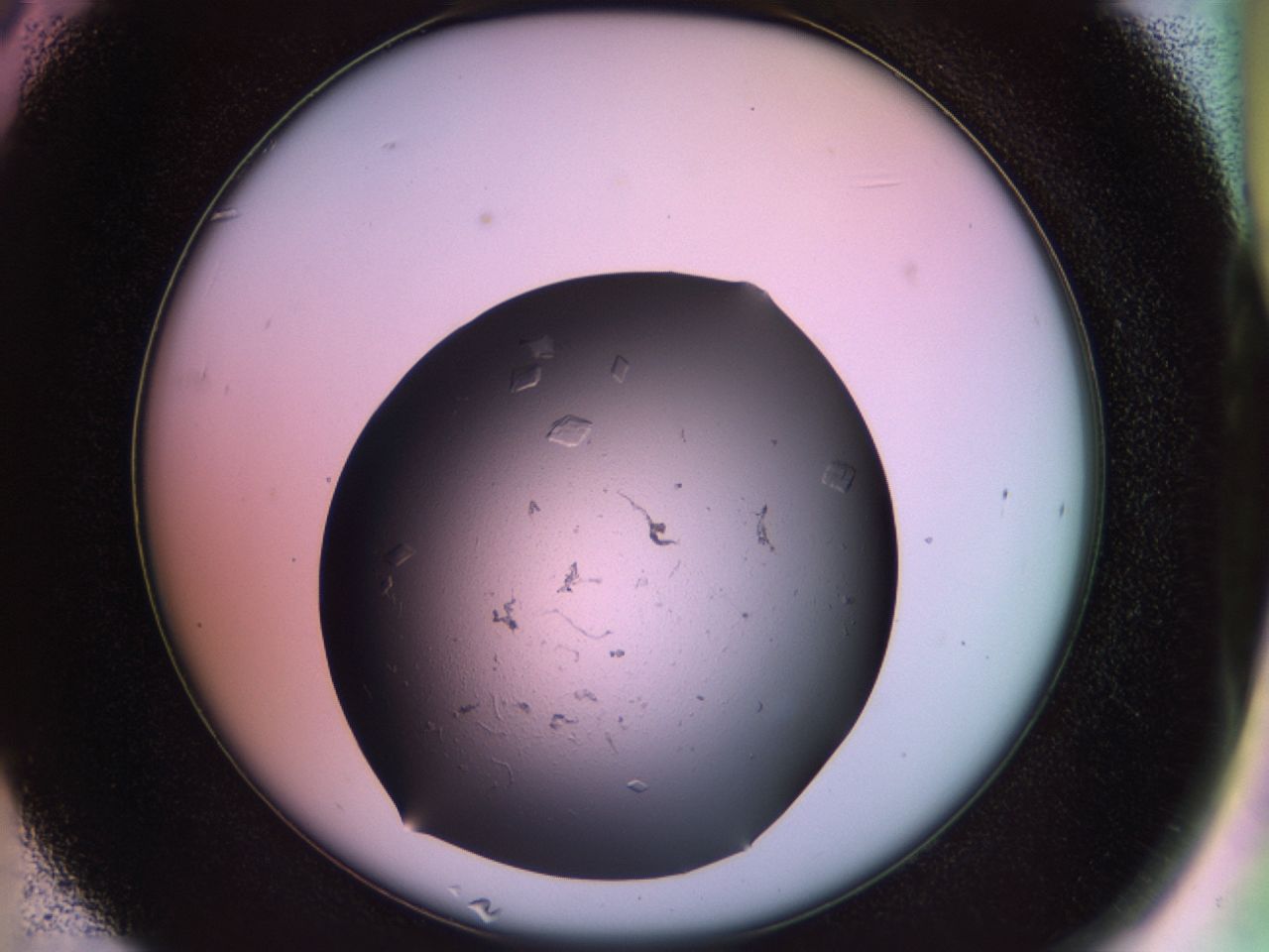 02pj_C6_ImagerDefaults_8.jpg