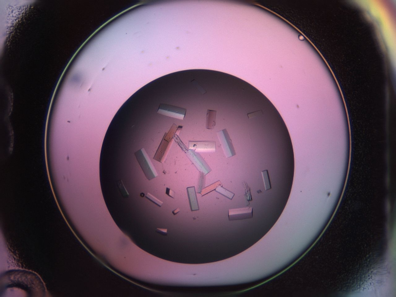 02pj_B12_ImagerDefaults_9.jpg