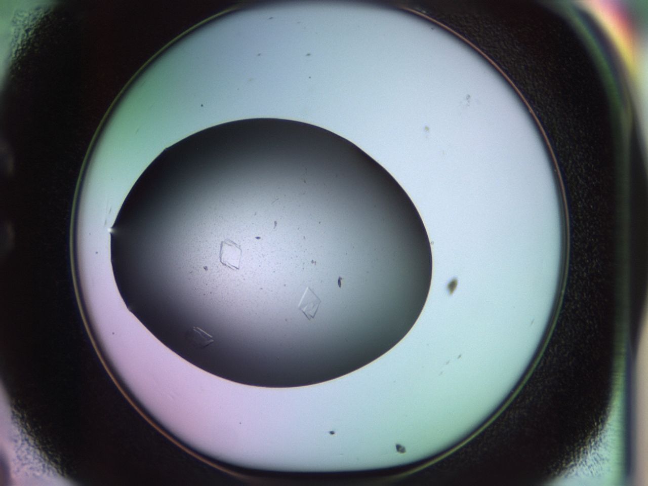 02pj_C8_ImagerDefaults_8.jpg