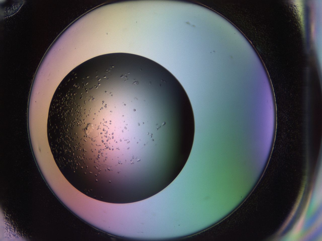 02pj_H10_ImagerDefaults_9.jpg