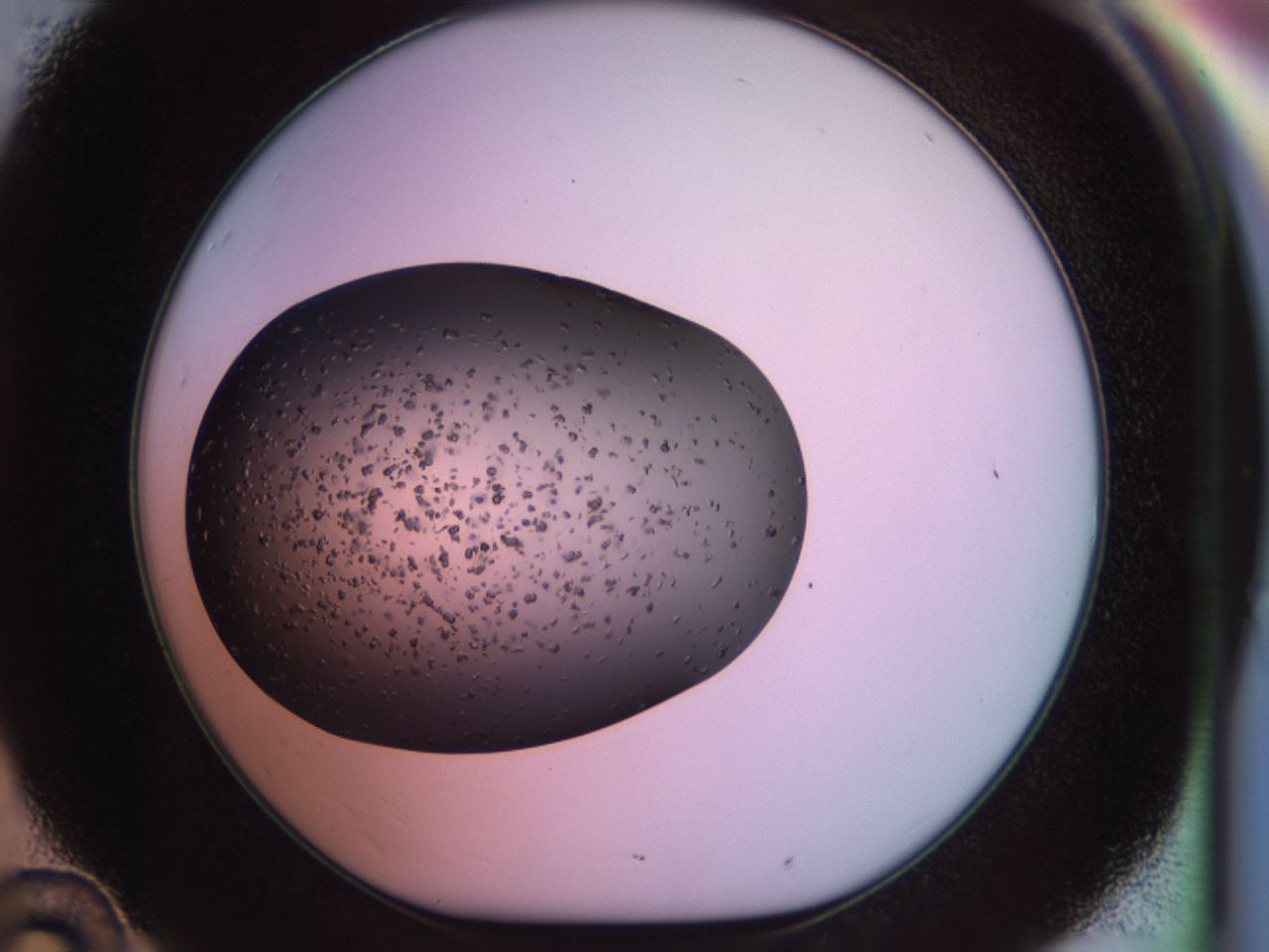 02pk_D10_ImagerDefaults_7.jpg