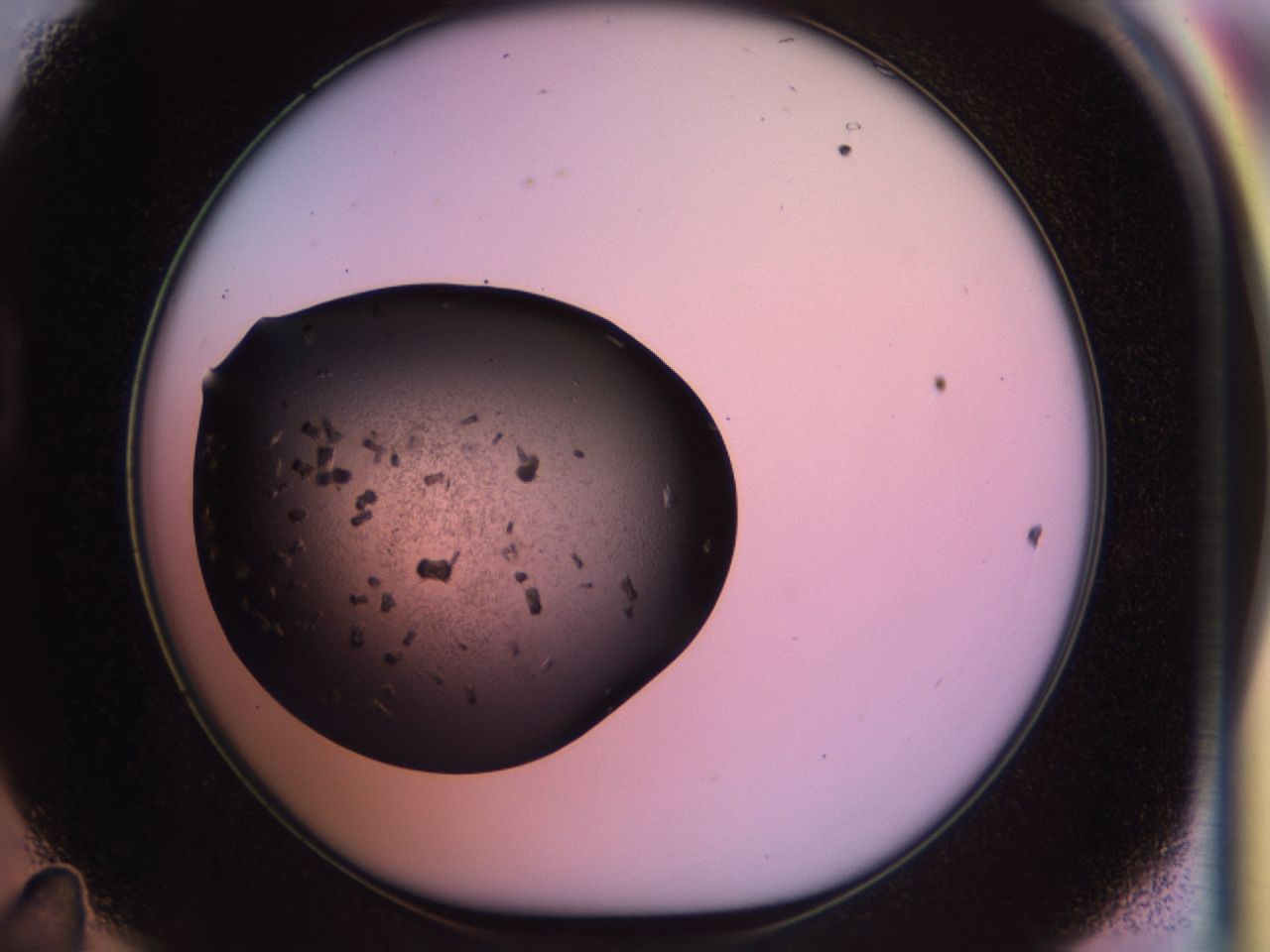 02pk_D11_ImagerDefaults_9.jpg