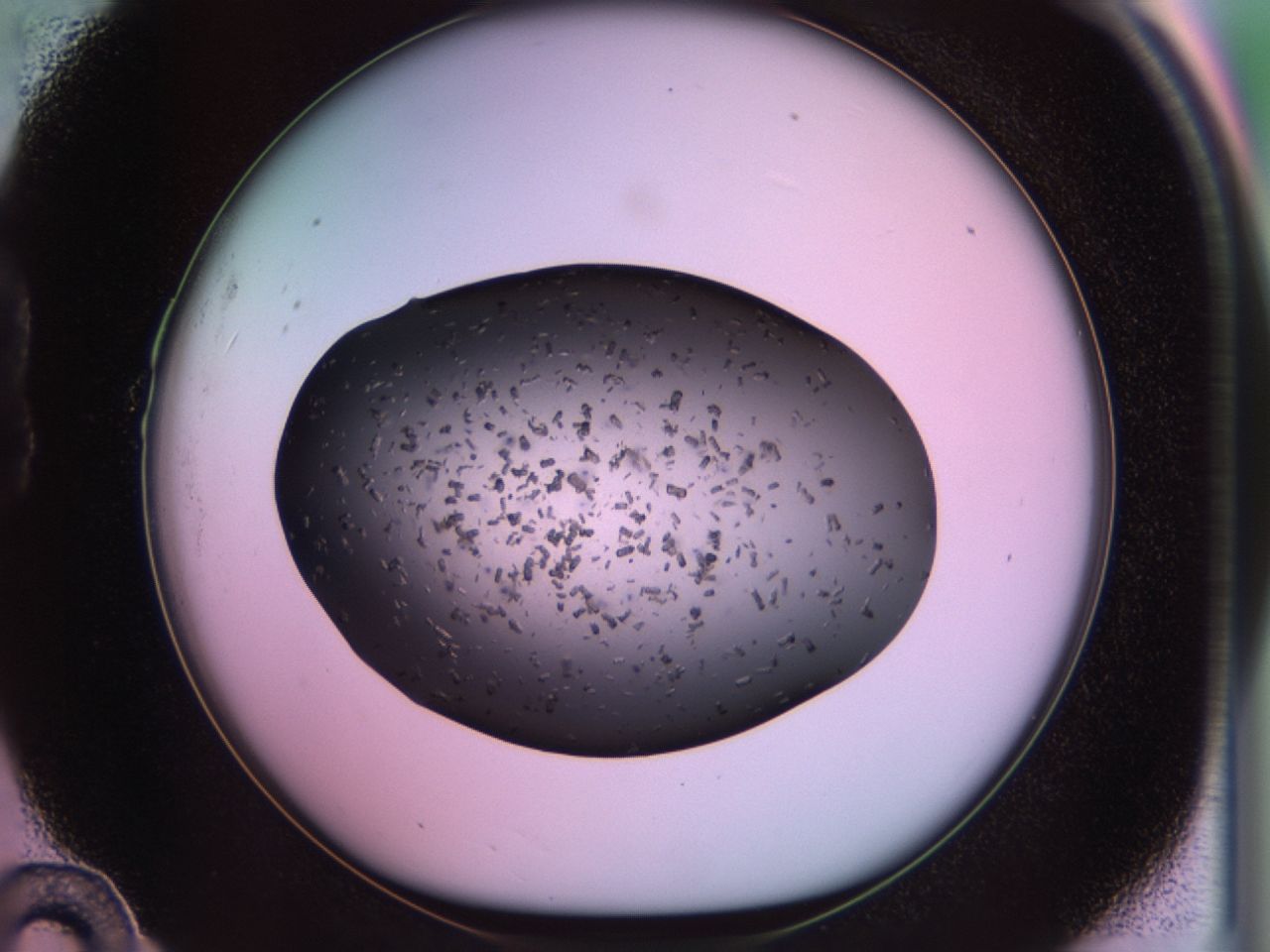 02pk_B10_ImagerDefaults_9.jpg