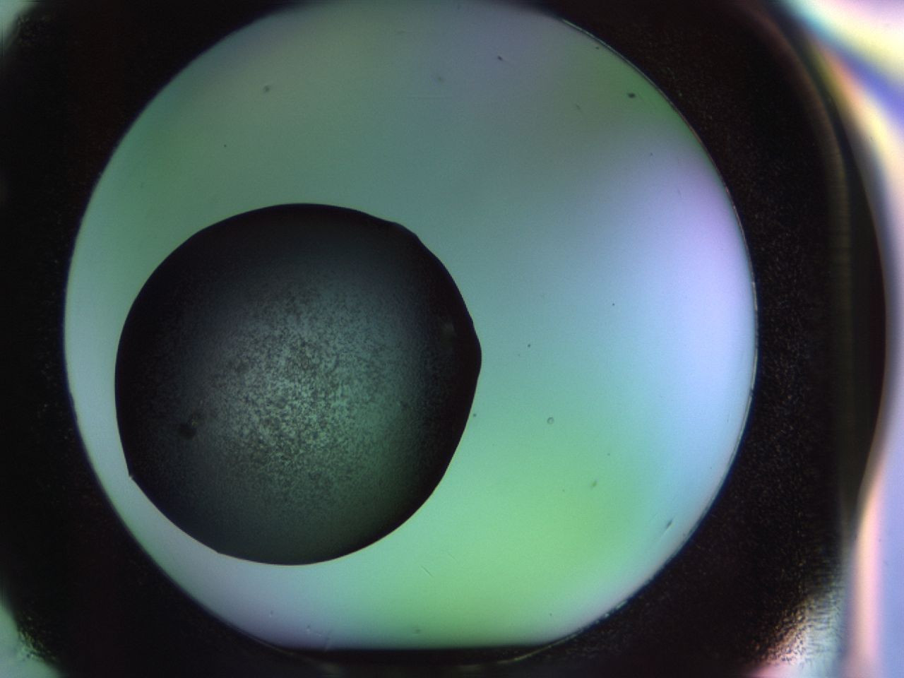 02pk_F2_ImagerDefaults_9.jpg