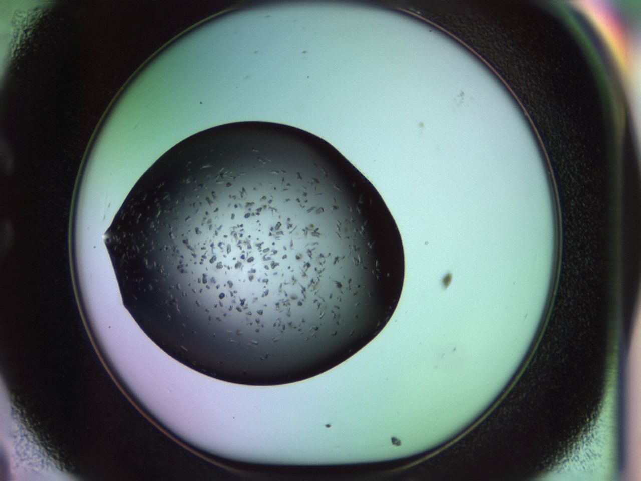 02pl_C8_ImagerDefaults_9.jpg