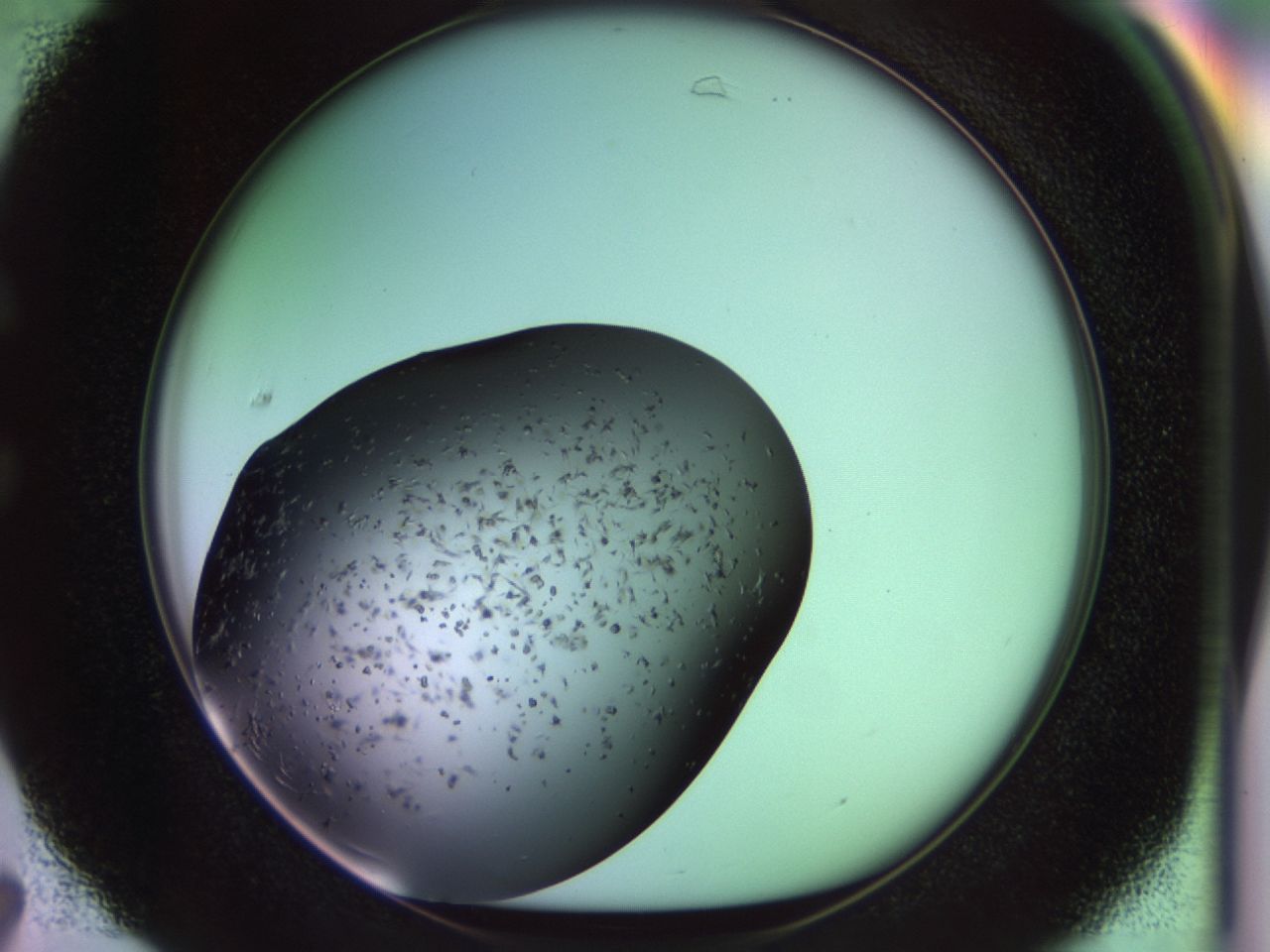 02pl_C7_ImagerDefaults_9.jpg