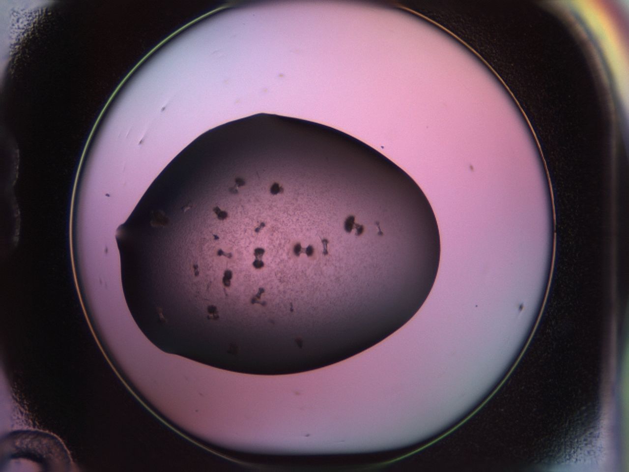 02pl_B12_ImagerDefaults_9.jpg