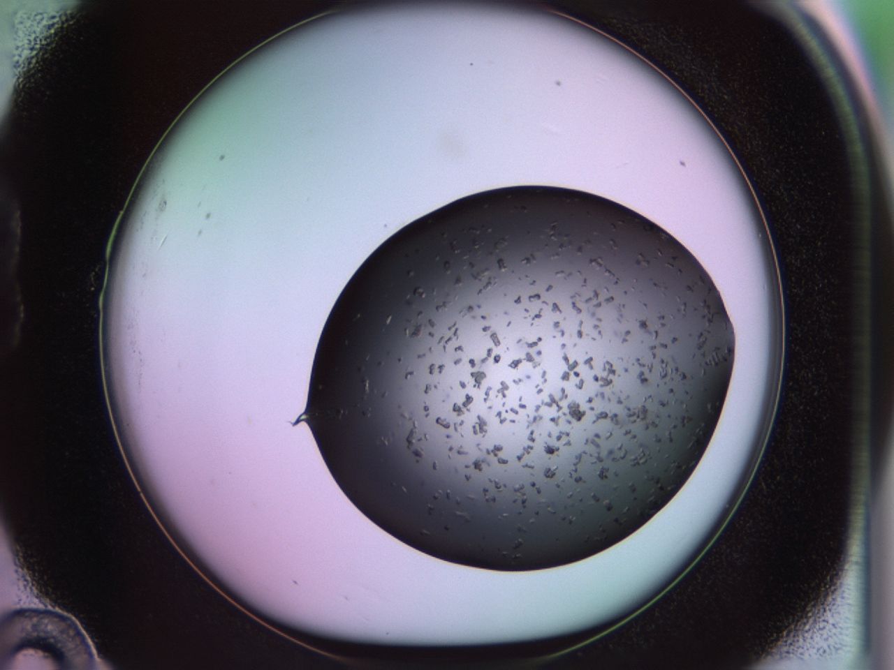 02pl_B10_ImagerDefaults_9.jpg