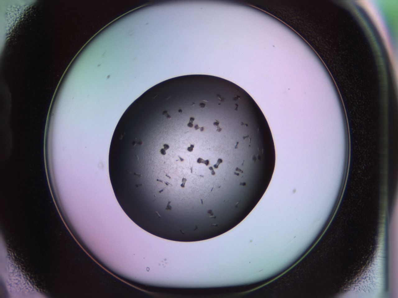 02pl_B9_ImagerDefaults_9.jpg