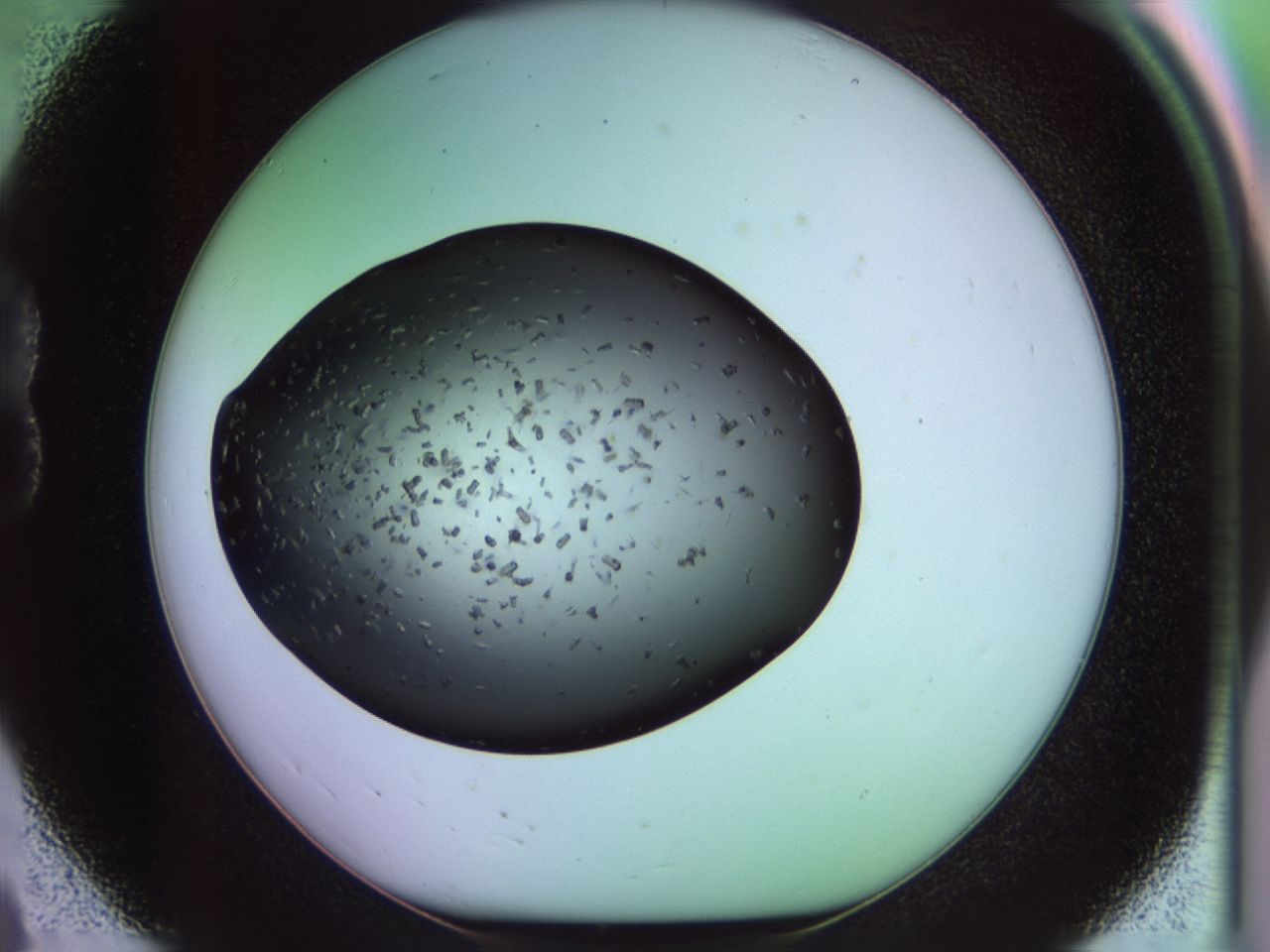 02pl_B8_ImagerDefaults_9.jpg