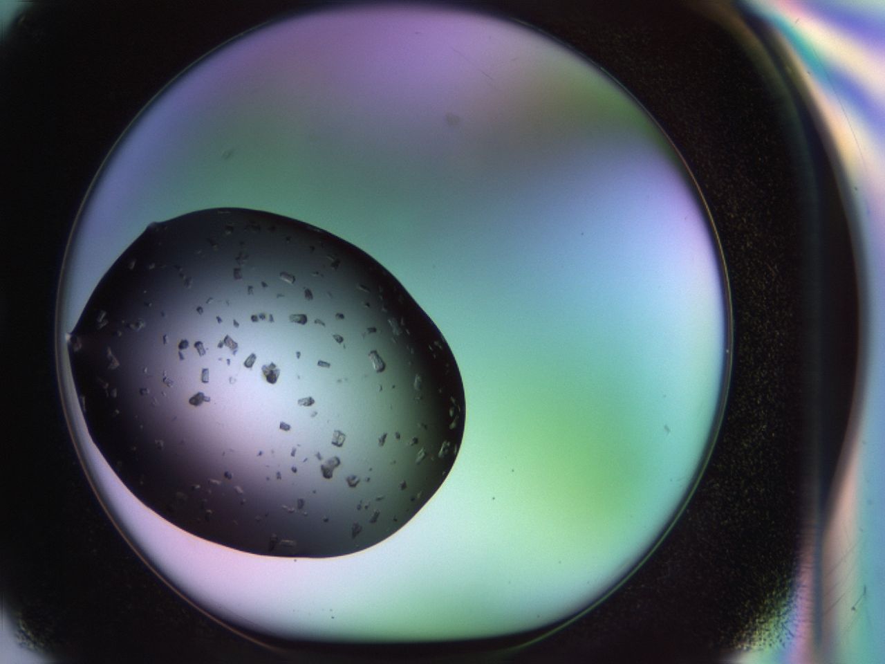 02pl_G2_ImagerDefaults_9.jpg