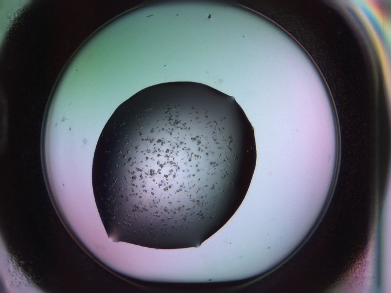 02pl_D9_ImagerDefaults_9.jpg